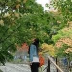 Yan Wong - @yamcheng2016 - Instagram