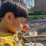 Yan Huang - @huang2067 - Instagram