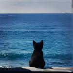 Yan Huang - @hyeon427 - Instagram