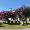 YanHuang - @yanhuang1443 - TikTok