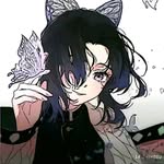 胡蝶忍 - @yanlin.17 - Instagram