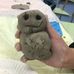 Yan Chai Hospital Chan Lu Seng Pri Sch - Facebook