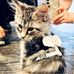 Yan Lu - Facebook