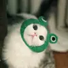 Yan Lu - @yanlu - TikTok