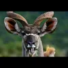 Yan wan - @yan.wan692 - TikTok