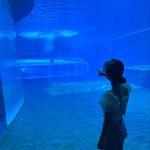 Yan Wang - @yan__wang - Instagram