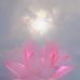 Yan Wang - Facebook