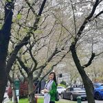 Yan Wang - @yanwang818 - Instagram