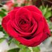 Yan Wang - Facebook