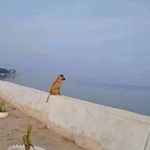 Yan Wang - @wangyan8147 - Instagram
