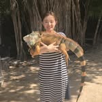 Yanxing Carol - @yanxingcarol - Instagram