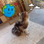 Yanal Odeh - Facebook