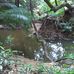 Ans Holtermann - Facebook