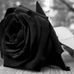 Yancy Moreno - Facebook