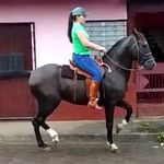 Yanelly González Amador - @yanellygonz20 - Instagram