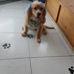 yanet paz - @yanetpaz73 - Instagram
