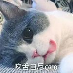 杨渠成 - @yang__qu__ - Instagram