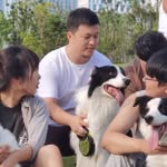 Yang Qu - @quyan9 - Instagram