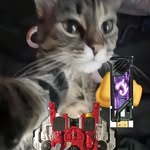 阳蛆 - @yangqu99 - Instagram