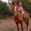 Yanina Roca Escalante - @yanina.roca.escal - TikTok