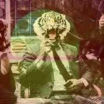 yangyankun - @yankun_yang - Instagram