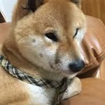 楊焱焜 - @yankunyang - Instagram