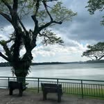 Yanping Liao - @yanpingliaoliao - Instagram