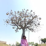 @yanpingliao - Instagram