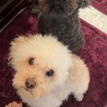 yanqiu wang - @yanqiu0711 - Instagram
