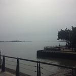 彦彤陈 - @yantongchen3117 - Instagram