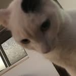 孙广文 - @sun_yanwen - Instagram