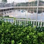 Yanwen Sun - @sun.yanwen - Instagram