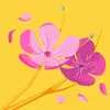 Yanyan Chen - @yanyan.chen5 - TikTok