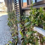 Yanyan Chen - @yan_dk_ - Instagram