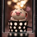 Yanyan Chen - @yanyan.chen.94064 - Instagram