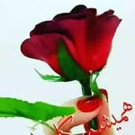 Yaqoot Khan - @khan_yaqoot - Instagram