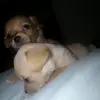 Yara Chavez - @yara.chavez5 - TikTok