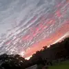 𝓨𝓪𝓻𝓲 - @yariperez592 - TikTok