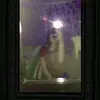 Yaritza Benitez - @yaritza.benitez1 - TikTok