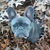 Yaritza Perez - @yaritza.perez331 - TikTok