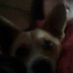 Yaritza Rojas Sandoval - @yaritzarojassandoval - Instagram