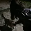 Yarynina - @yarynina0 - TikTok