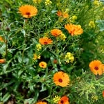 Yaser Ibrahim - @yaseribrahim21 - Instagram
