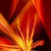 Yaser mohammed - Facebook