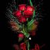 Yash Kumar - Facebook