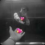 Yash Mathur - @yash.mathur.01 - Instagram