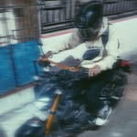 Yash Roy - @mr_lemur01 - Instagram