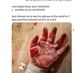 Yasmin Ashour - Facebook
