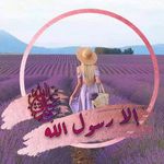 Yasmin Ashour - @yasmin.ashour.543 - Instagram