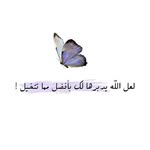 Yasmin Ashour - @medo_elkalifa - Instagram